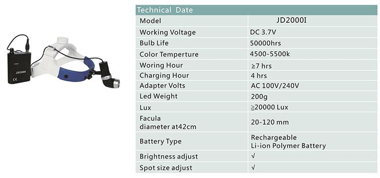 LED head light